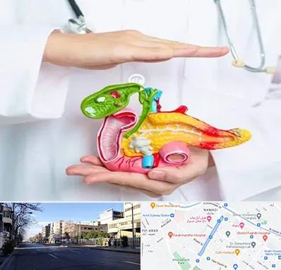 دکتر سرطان لوزالمعده در خیابان ملاصدرا شیراز 