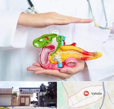 دکتر سرطان لوزالمعده در وحیدیه شهریار