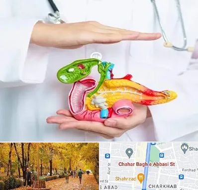 دکتر سرطان لوزالمعده در چهارباغ اصفهان 