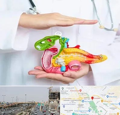 دکتر سرطان لوزالمعده در بلوار توس مشهد 