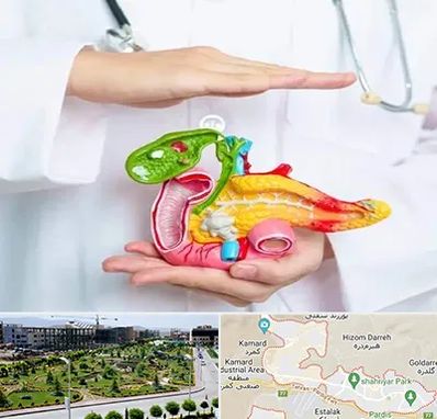 دکتر سرطان لوزالمعده در پردیس