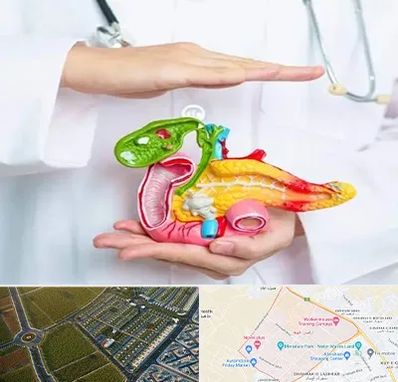 دکتر سرطان لوزالمعده در الهیه مشهد 