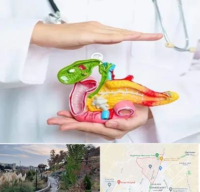 دکتر سرطان لوزالمعده در باغستان کرج 