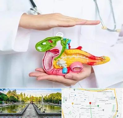 دکتر سرطان لوزالمعده در سرسبز 