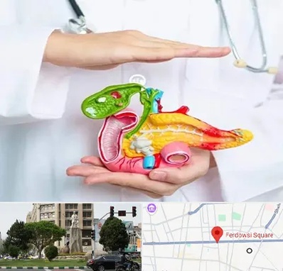 دکتر سرطان لوزالمعده در میدان فردوسی تهران