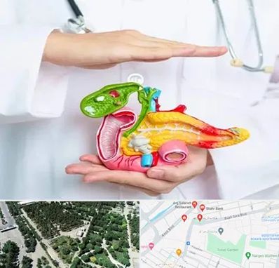 دکتر سرطان لوزالمعده در سالاریه قم