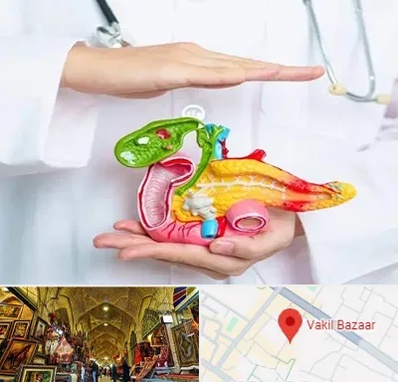 دکتر سرطان لوزالمعده در بازار وکیل شیراز