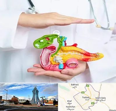 دکتر سرطان لوزالمعده در تایباد