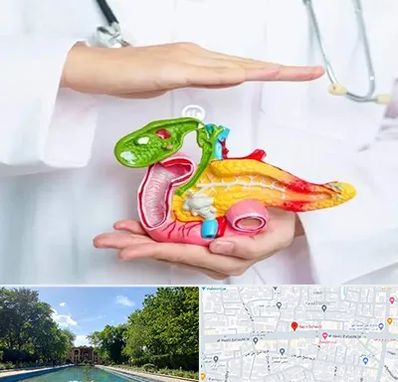 دکتر سرطان لوزالمعده در هشت بهشت اصفهان 