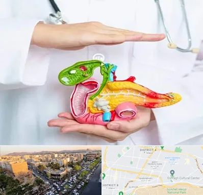 دکتر سرطان لوزالمعده در تهرانپارس 