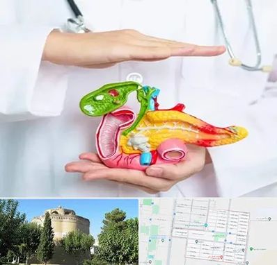 دکتر سرطان لوزالمعده در مرداویج اصفهان 