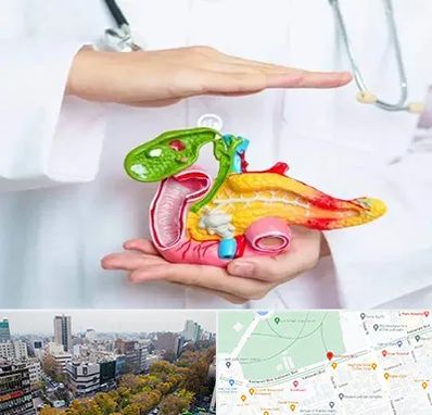 دکتر سرطان لوزالمعده در بلوار کشاورز 