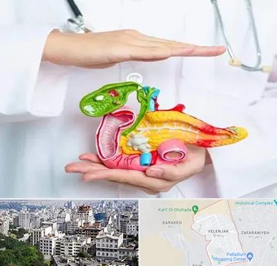 دکتر سرطان لوزالمعده در ولنجک 