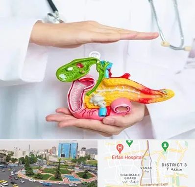 دکتر سرطان لوزالمعده در ونک 