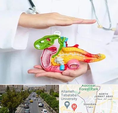 دکتر سرطان لوزالمعده در شهران 