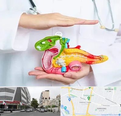 دکتر سرطان لوزالمعده در بلوار فردوس 
