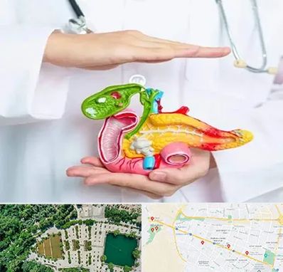 دکتر سرطان لوزالمعده در وکیل آباد مشهد 