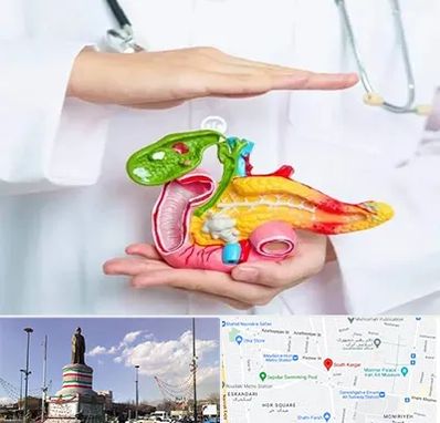 دکتر سرطان لوزالمعده در کارگر جنوبی 