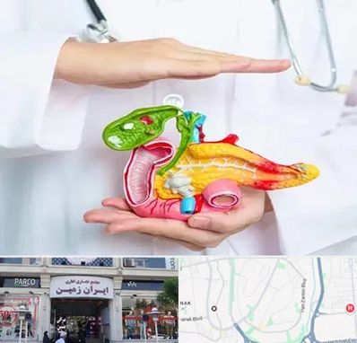 دکتر سرطان لوزالمعده در ایران زمین