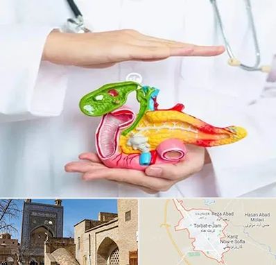 دکتر سرطان لوزالمعده در تربت جام