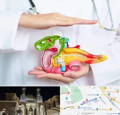 دکتر سرطان لوزالمعده در زرگری شیراز 