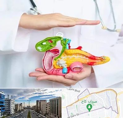 دکتر سرطان لوزالمعده در سعادت آباد 