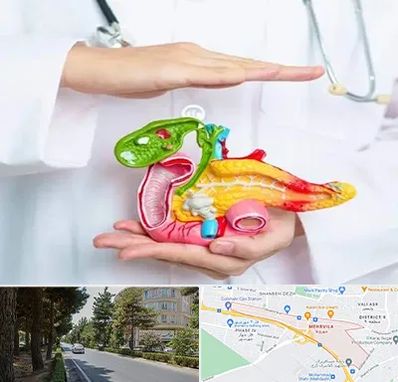 دکتر سرطان لوزالمعده در مهرویلا کرج 