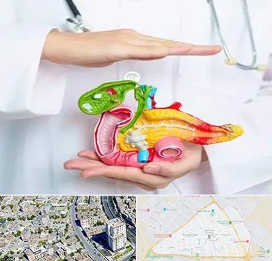 دکتر سرطان لوزالمعده در قاسم آباد مشهد 