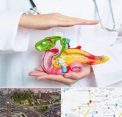 دکتر سرطان لوزالمعده در سبلان 