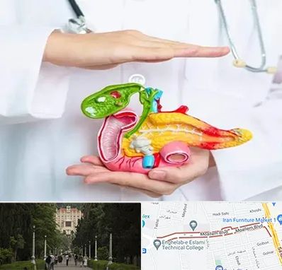 دکتر سرطان لوزالمعده در بلوار معلم رشت 