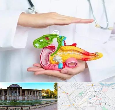 دکتر سرطان لوزالمعده در عفیف آباد شیراز 