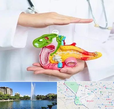 دکتر سرطان لوزالمعده در کوهسنگی مشهد 