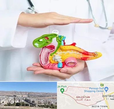 دکتر سرطان لوزالمعده در شهرک گلستان شیراز 