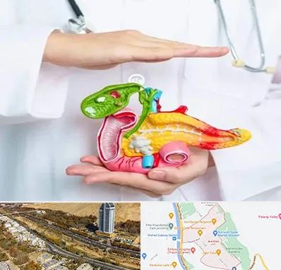 دکتر سرطان لوزالمعده در خیابان نیایش شیراز 