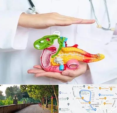 دکتر سرطان لوزالمعده در فلکه گاز رشت 