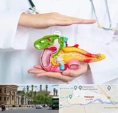 دکتر سرطان لوزالمعده در پاکدشت