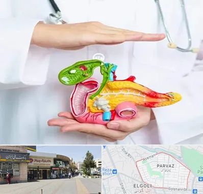 دکتر سرطان لوزالمعده در پرواز تبریز