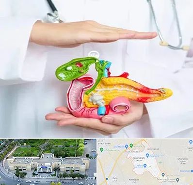 دکتر سرطان لوزالمعده در نسیم شهر