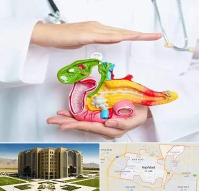 دکتر سرطان لوزالمعده در نجف آباد