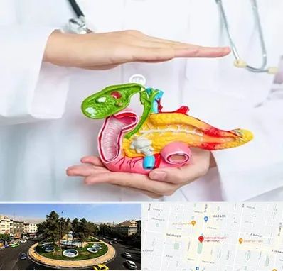 دکتر سرطان لوزالمعده در هفت حوض 