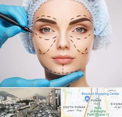 جراح پلاستیک در پونک