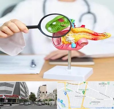 جراح سرطان پانکراس در بلوار فردوس 