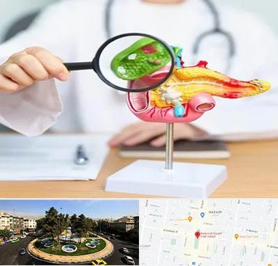 جراح سرطان پانکراس در هفت حوض 