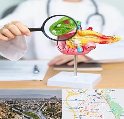 جراح سرطان پانکراس در معالی آباد شیراز 