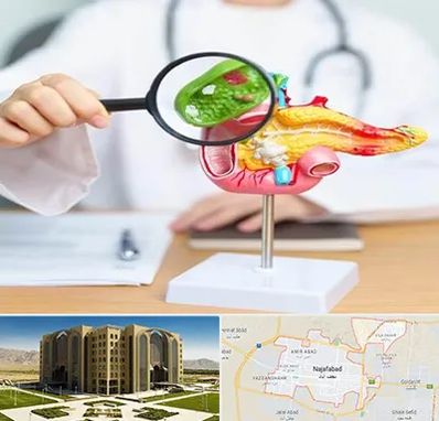 جراح سرطان پانکراس در نجف آباد