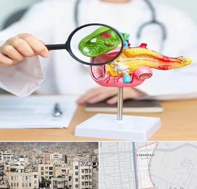 جراح سرطان پانکراس در اسکندری