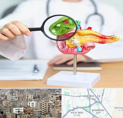 جراح سرطان پانکراس در جنوب شرق تهران