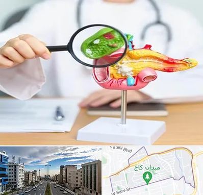 جراح سرطان پانکراس در سعادت آباد 