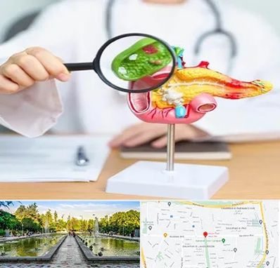 جراح سرطان پانکراس در سرسبز 