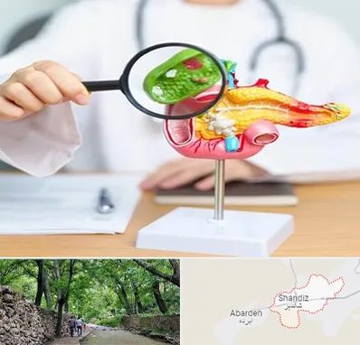 جراح سرطان پانکراس در شاندیز مشهد